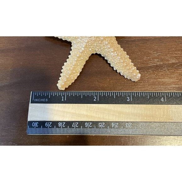 Under The Sea Starfish Santa Hat Christmas Tree Holiday Ornament Decor NEW‎ - Picture 3 of 4